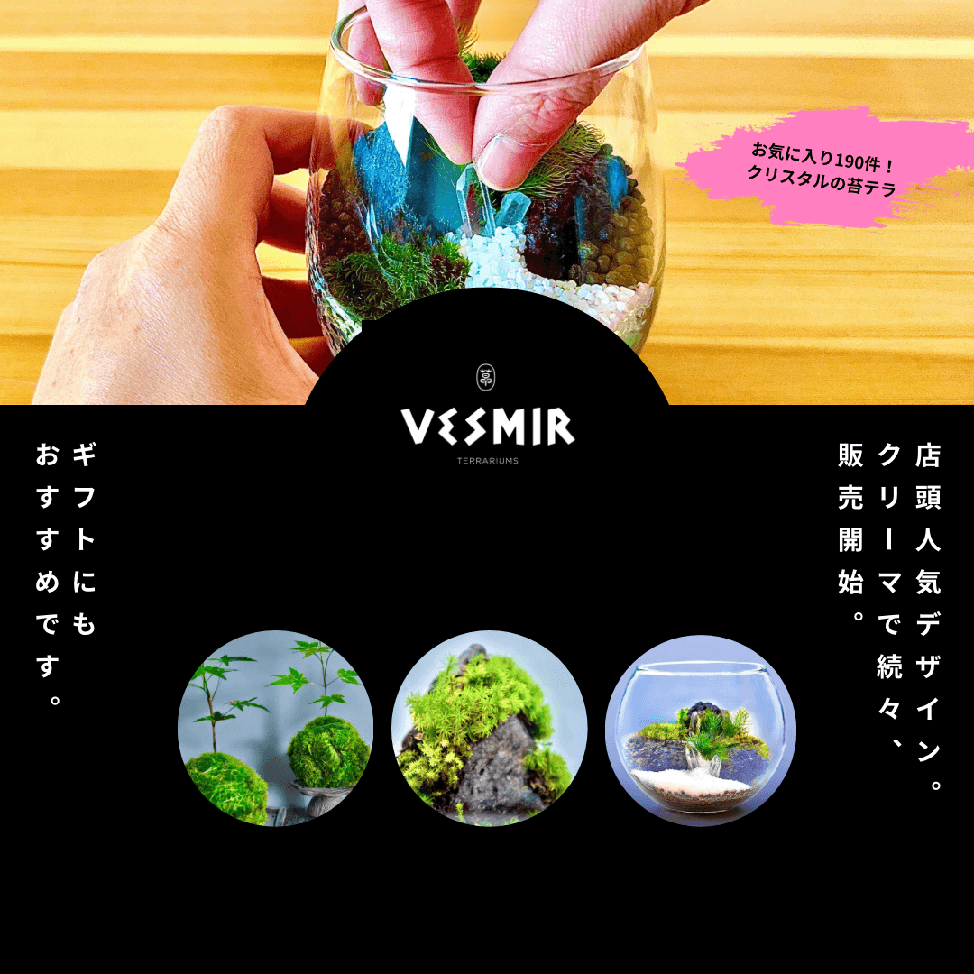 ［人気作品のプレミアム版］輝く天然石の苔テラリウム(クリスタル鉱山B)手乗りサイズエッグ型ギフトにおすすめ | 3枚目
