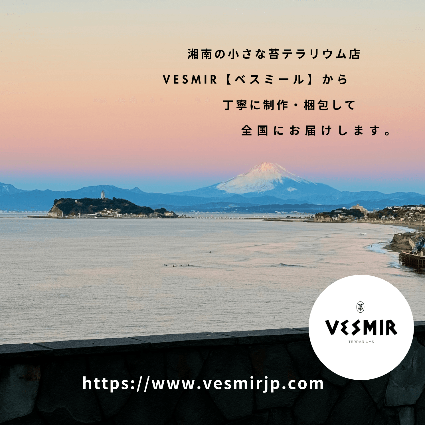 ［日本の森］岩面高と多様なシダ /中型作品洗練された店舗装飾としてもおすすめ | 6枚目