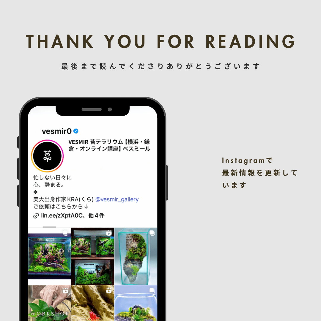 ［日本の森］岩面高と多様なシダ /中型作品洗練された店舗装飾としてもおすすめ | 7枚目