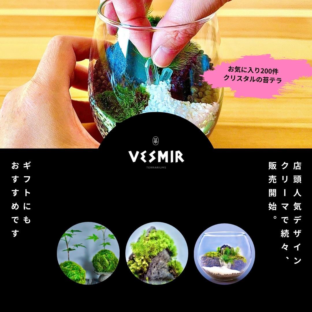 NEW! ［和の趣］古都の石段 大 コケ中型テラリウム和モダン古民家レストラン店舗カフェ美容室オフィスクリニック | 2枚目